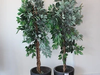 Twee stenen potten met kunstplanten met hoogte 180 cm. - afbeelding 2 van  2