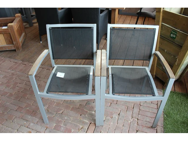 Twee terrasstoelen de arend met enkele beschadigingen. - afbeelding 2 van  3