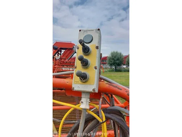 Uienrooier amac, f2 - afbeelding 7 van  64