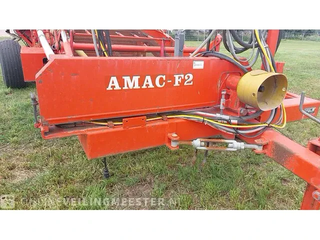 Uienrooier amac, f2 - afbeelding 8 van  64