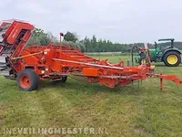 Uienrooier amac, f2 - afbeelding 1 van  64