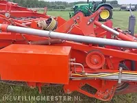 Uienrooier amac, f2 - afbeelding 15 van  64