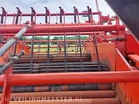 Uienrooier amac, f2 - afbeelding 43 van  64