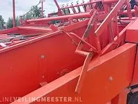 Uienrooier amac, f2 - afbeelding 57 van  64
