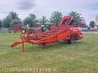 Uienrooier amac, f2 - afbeelding 63 van  64