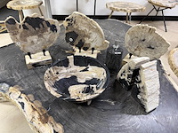 Unieke versteend houten set – miljoenen jaren oud, 2025 - afbeelding 1 van  6