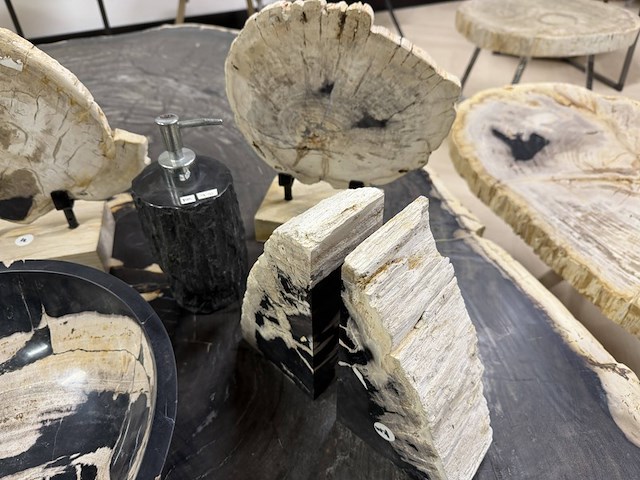 Unieke versteend houten set – miljoenen jaren oud, 2025 - afbeelding 2 van  6