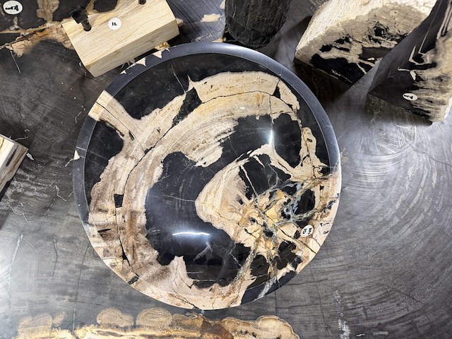 Unieke versteend houten set – miljoenen jaren oud, 2025 - afbeelding 3 van  6