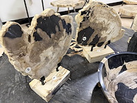 Unieke versteend houten set – miljoenen jaren oud, 2025 - afbeelding 4 van  6