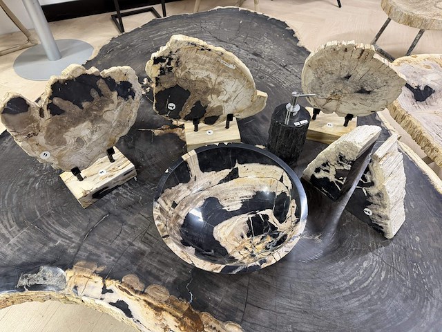 Unieke versteend houten set – miljoenen jaren oud, 2025 - afbeelding 5 van  6