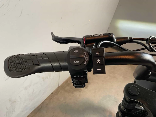 V8 fatbike - afbeelding 10 van  10