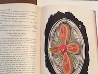 Vakboeken beenhouwers - afbeelding 3 van  7