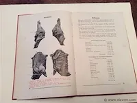 Vakboeken beenhouwers - afbeelding 6 van  7