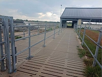 Van dinther loopgang runderen - afbeelding 7 van  16