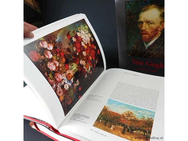 Van gogh 1853-1890 visie en werkelijkheid - afbeelding 4 van  5