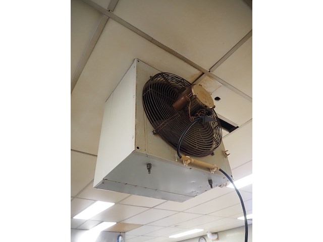 Vasco - afbeelding 3 van  5