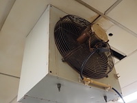 Vasco - afbeelding 3 van  5