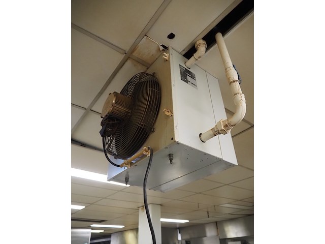 Vasco - afbeelding 4 van  5