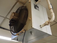 Vasco - afbeelding 4 van  5