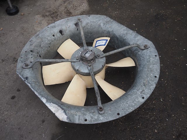 Veb nema - afbeelding 1 van  5