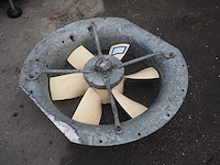 Veb nema - afbeelding 1 van  5