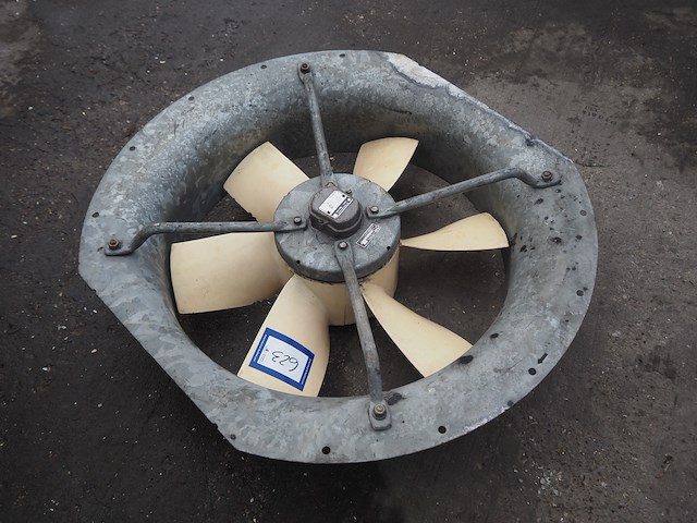 Veb nema - afbeelding 2 van  5