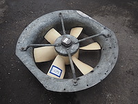 Veb nema - afbeelding 2 van  5