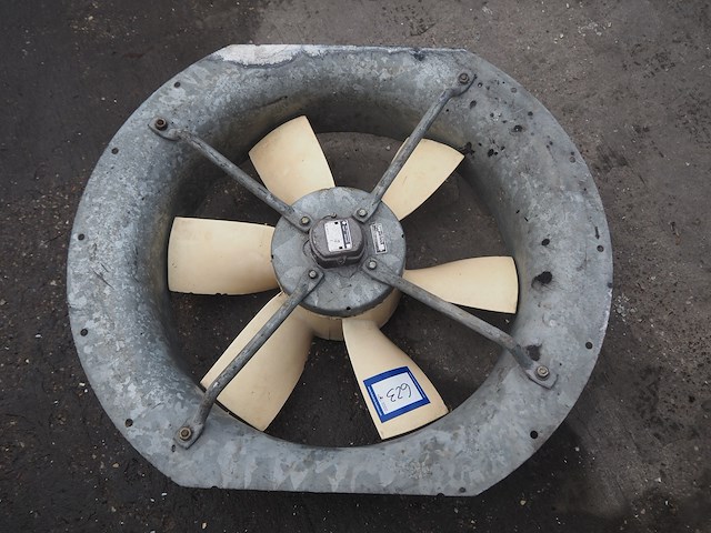 Veb nema - afbeelding 3 van  5