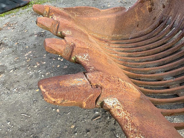 Verachtert rots puinbak cw40 - afbeelding 5 van  9