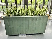 Verrijdbare plantenbak incl beplanting 223x50x112cm - afbeelding 1 van  2