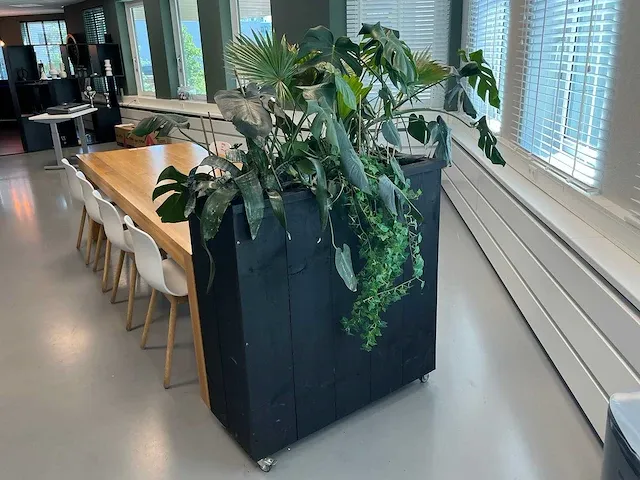 Verrijdbare plantenbak met planten - afbeelding 1 van  7