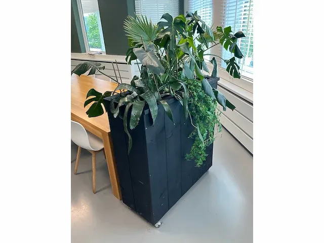 Verrijdbare plantenbak met planten - afbeelding 2 van  7