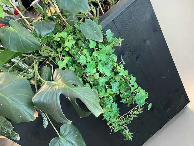 Verrijdbare plantenbak met planten - afbeelding 4 van  7