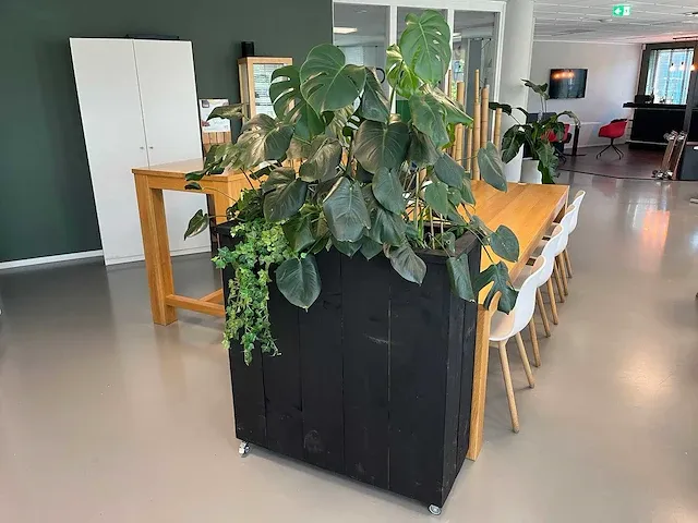 Verrijdbare plantenbak met planten - afbeelding 10 van  10