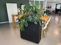 Verrijdbare plantenbak met planten - afbeelding 10 van  10