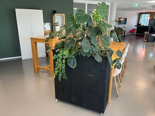 Verrijdbare plantenbak met planten - afbeelding 1 van  10