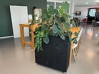Verrijdbare plantenbak met planten - afbeelding 1 van  10
