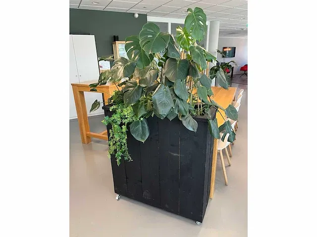 Verrijdbare plantenbak met planten - afbeelding 2 van  10