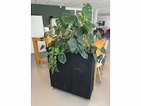 Verrijdbare plantenbak met planten - afbeelding 2 van  10