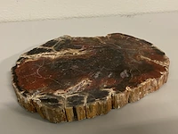 Versteend hout plak - afbeelding 1 van  5