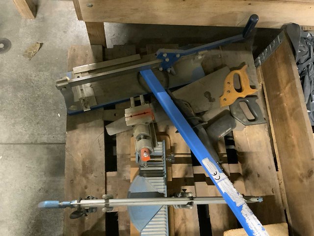Verstekzaagbak en divers - afbeelding 3 van  3