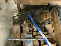 Verstekzaagbak en divers - afbeelding 3 van  3
