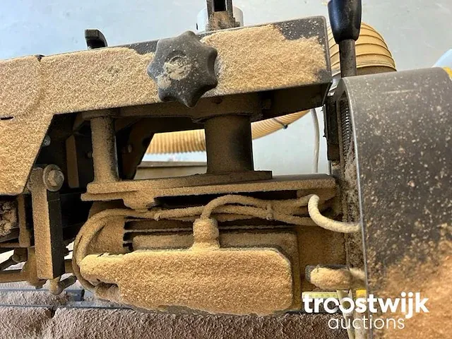 Verticale platenzaagmachine - afbeelding 6 van  7