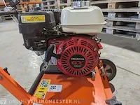 Verticuteermachine eliet, e 401 petrol, bouwjaar 2017 - afbeelding 3 van  19