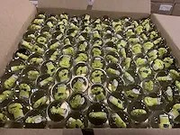 Verzamel item ‚knikker’ wereldkampioenschap voetbal 2014 (156240x) - afbeelding 5 van  10