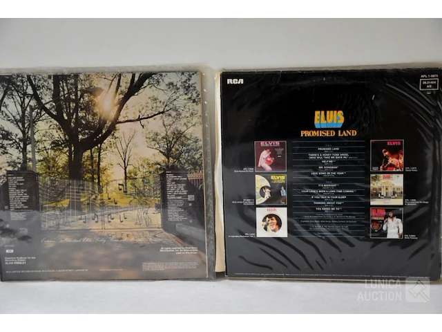 Verzameling lp's - afbeelding 8 van  14