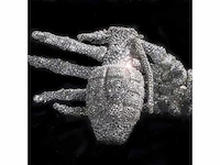 Verzamelobject “granaat arm” - afbeelding 6 van  9