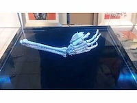 Verzamelobject “granaat arm” - afbeelding 7 van  9