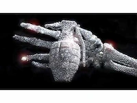 Verzamelobject “granaat arm” - afbeelding 4 van  9