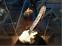 Verzamelobject “the heartache” - afbeelding 2 van  27
